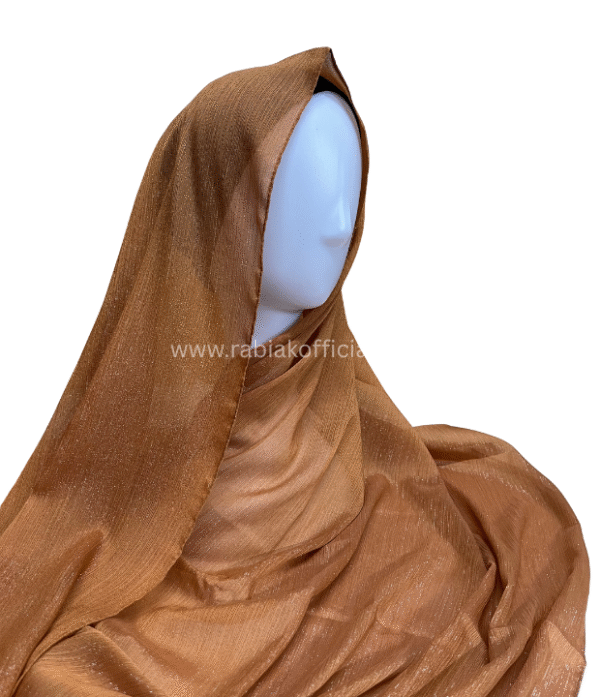 Shimmer Georgette -Bronze