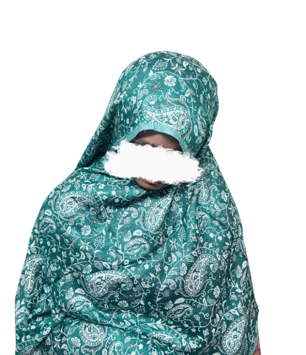 3 Reversible Pashmina Luxe- Sabz